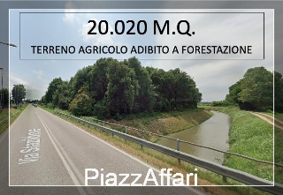 zoom immagine (Terreno 20020 mq, zona Pontelongo)