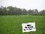 Terreno 25000 mq