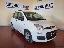 FIAT Panda 1.3 MJT S&S Lounge