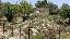 Rustico 64510 mq, zona San Giacomo