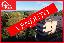 Appartamento 115 mq, soggiorno, 3 camere, zona Ontagnano