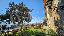 Appartamento 128 mq, 2 camere, zona Serpiolle