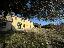 Rustico 250 mq, soggiorno, 3 camere, zona Calaone