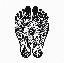 Riflessologia Plantare Canavese