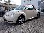 VOLKSWAGEN New Beetle 1.6 Cabrio Lim. Red Edt.