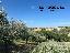 Terreno 600 mq, zona Monterado