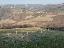 Terreno 33800 mq, zona Lusiana