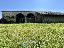 Rustico 197 mq, soggiorno, 4 camere