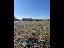 Terreno 10000 mq, zona Giarre
