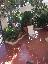 Appartamento 100 mq, 3 camere, zona Montauro