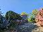 Bifamiliare 300 mq, soggiorno, 5 camere, zona Monselice