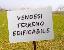 Terreno 720 mq, zona Camisano Vicentino