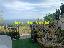 Appartamento 45 mq, 1 camera, zona Sanremo