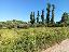 Terreno 10440 mq, zona Palombara Sabina