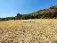Terreno 20500 mq