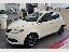 LANCIA Ypsilon 1.2 69 CV 5p. GPL Ecochic Gold