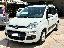 FIAT Panda 1.3 MJT 95 CV S&S Lounge