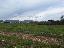 Terreno 8290 mq