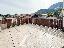 Appartamento 130 mq, 2 camere, zona San Michele
