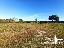 Terreno 3739 mq, zona Castiglione del Lago