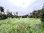 Terreno 3090 mq, zona Busiago