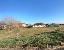 Terreno 806 mq, zona Pilastro