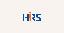 Associate with Italian and English (Romania - Relocation Support)