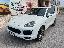 PORSCHE Cayenne 3.0 Diesel Platinum Edition