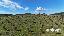 Terreno 116000 mq, zona Capalbio