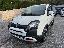 FIAT Panda Cross 1.0 FireFly S&S Hybrid
