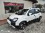 FIAT Pandina 1.0 FireFly 65 CV Hybrid Cross