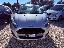 FORD Fiesta 1.5 TDCi 75 CV 5p. Business