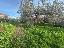 Terreno 1276 mq, zona Torrecampagna