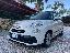FIAT 500L 1.3 MJT 85 CV Business