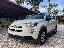 FIAT 500X 1.3 M.Jet 95 CV Cult