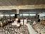 Capannone 1600 mq, 3 camere, zona Bassona
