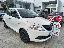 LANCIA Ypsilon 1.2 69 CV 5p. S&S Elefantino Blu