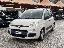 FIAT Panda 1.2 EasyPower Lounge