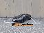 PORSCHE 911 992 Carrera 4 SCARICO*TETTO*BOSE*ACC*MEMORIE
