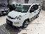 FIAT Panda 1.0 GSE Hybrid Street Van 4 p.ti