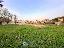Terreno 3128 mq, zona Montegrotto Terme