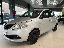 LANCIA Ypsilon 1.2 69 CV 5p. S&S Elefantino Blu