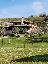Villa 480 mq, soggiorno, più di 3 camere, zona Savorgnano del Torre