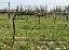 Terreno 25170 mq, zona Cendon