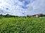 Terreno 2042 mq, zona Quinto di Treviso - Centro