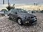 VOLKSWAGEN Polo 1.4 TDI 5p. Business