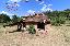 Rustico 360 mq, soggiorno, più di 3 camere, zona Ginestra