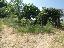 Terreno 8690 mq, zona Staro