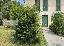 Appartamento 61 mq, 1 camera, zona Canizzano