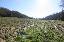 Terreno 110000 mq